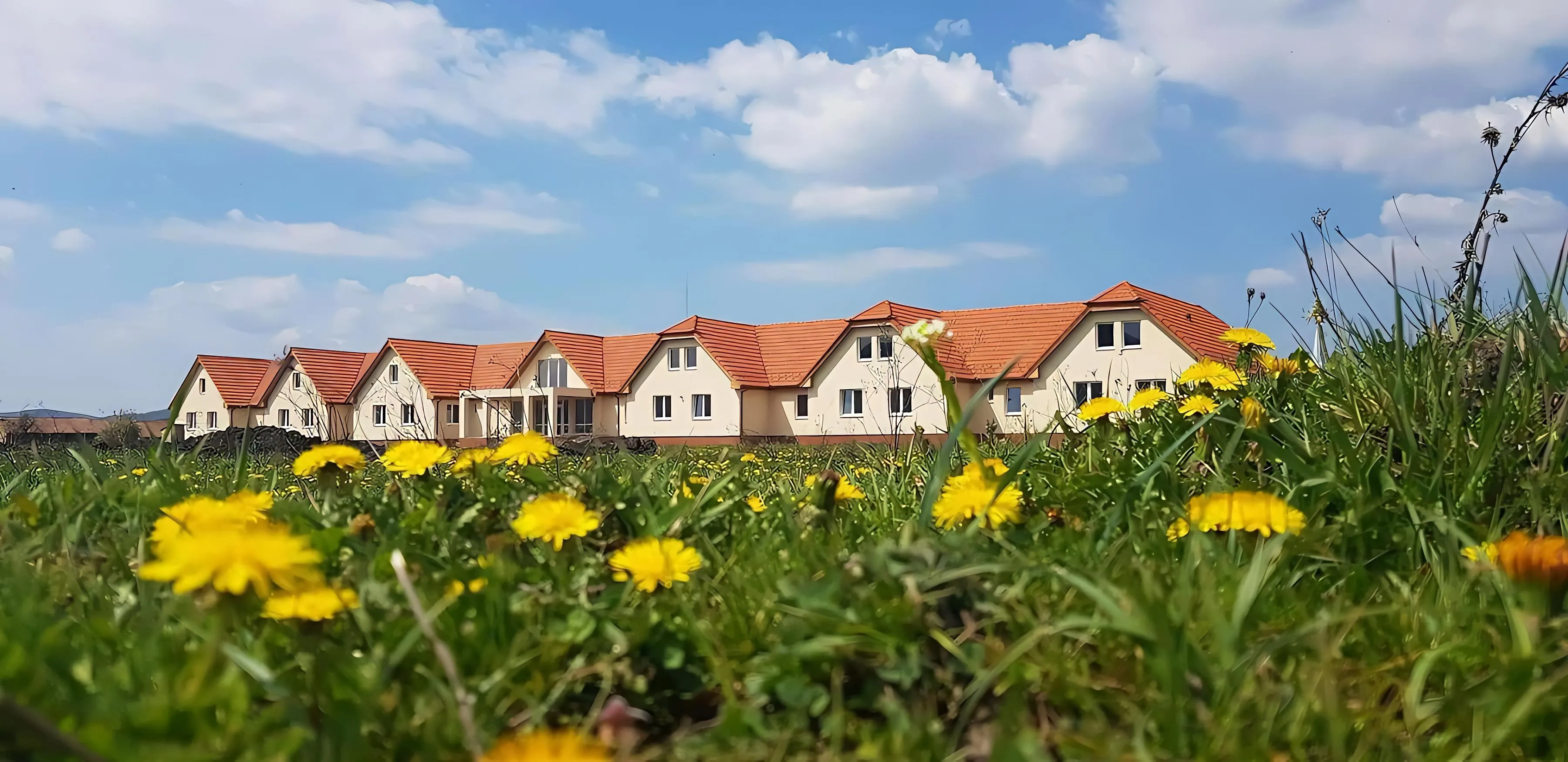 Clădirea lungă a Casei Tulipán, cu acoperiș roșu, dincolo de o pajiște cu păpădii.